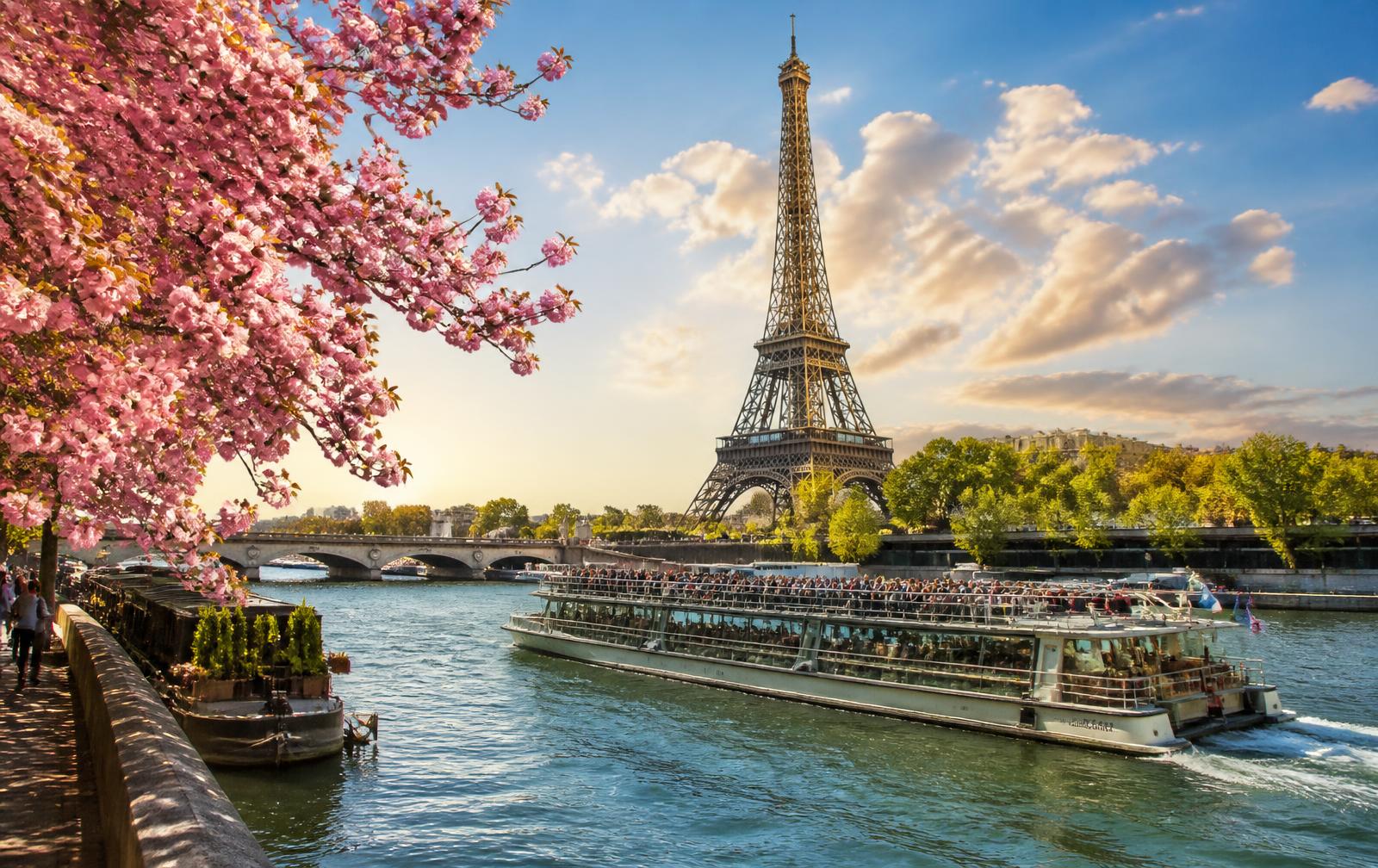 Eiffel Tower above Parisian rooftops