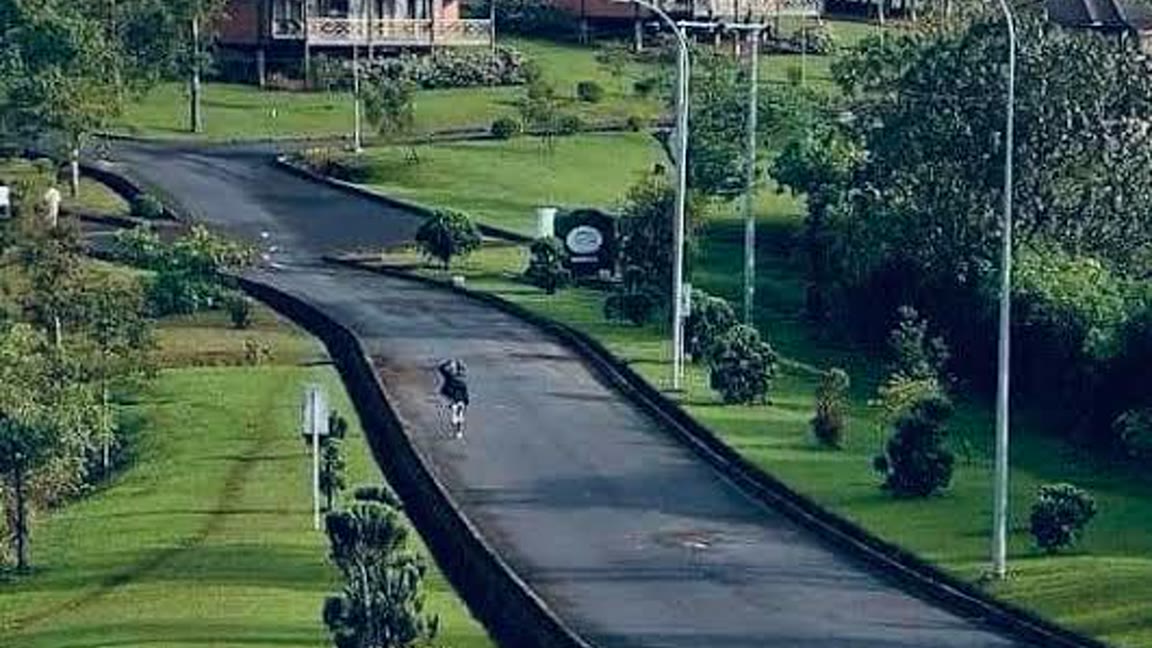 Resort Grounds at Obudu Mountain Resort, Cross River State, Nigeria